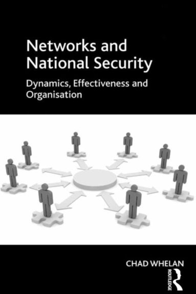 Networks and National Security (e-bok)