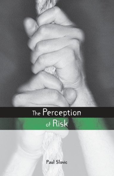 Perception of Risk (inbunden)