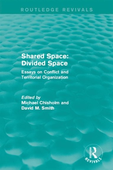 Shared Space: Divided Space (e-bok)