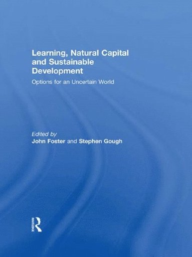 Learning, Natural Capital and Sustainable Development (e-bok)