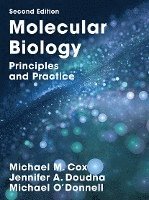 Molecular Biology (inbunden)