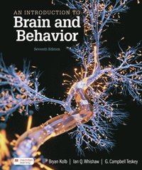 An Introduction to Brain and Behavior (International Edition) (häftad)