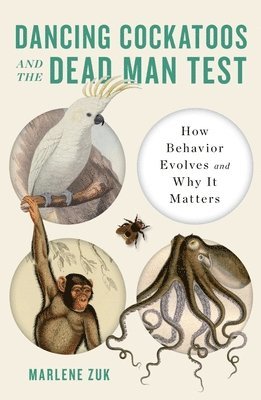 Dancing Cockatoos and the Dead Man Test (häftad)