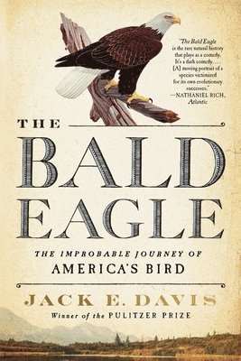 The Bald Eagle (hftad)