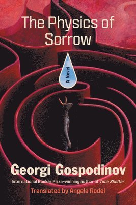 The Physics of Sorrow (häftad)