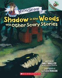 Shadow In The Woods And Other Scary Stories: An Acorn Book (Mister Shivers #2) (häftad)