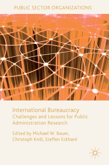 International Bureaucracy (häftad)