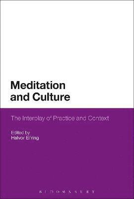 Meditation and Culture (hftad)