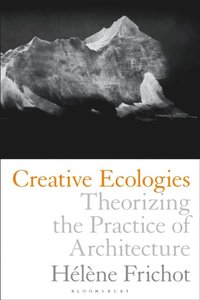 Creative Ecologies (e-bok)