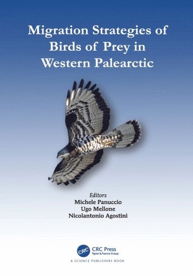 Migration Strategies of Birds of Prey in Western Palearctic (e-bok)