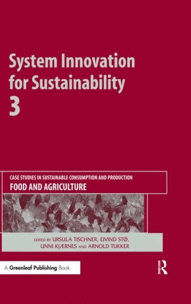 System Innovation for Sustainability 3 (e-bok)