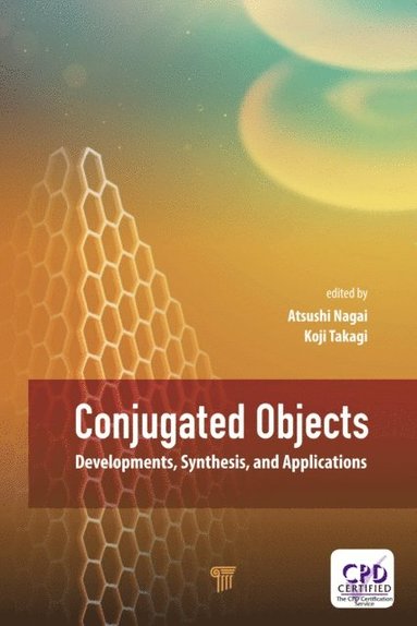 Conjugated Objects (e-bok)