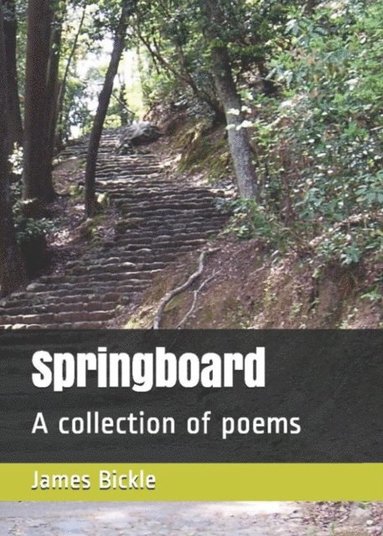 Springboard (häftad)