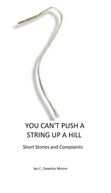 You Can't Push A String Up A HIll (häftad)