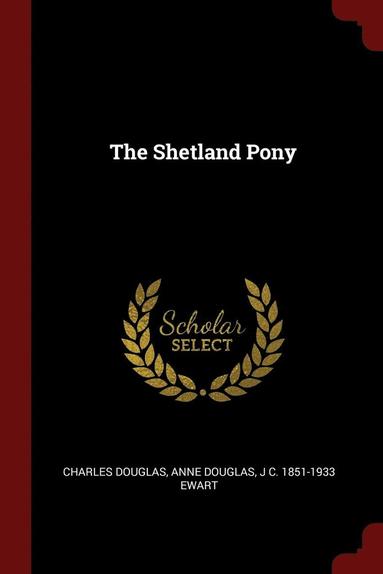 Shetland Pony (inbunden)
