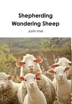 Shepherding Wandering Sheep (h�ftad)