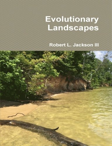 Evolutionary Landscapes (e-bok)