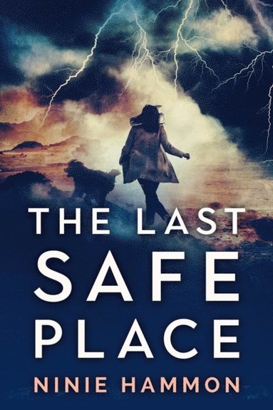 Last Safe Place (häftad)