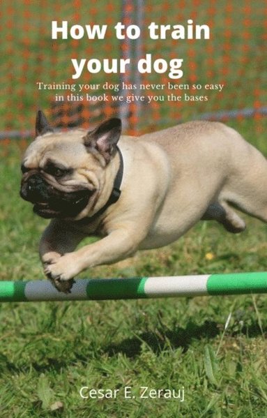 How to train your dog    Training your dog has never been so easy in this book we give you the bases (inbunden)