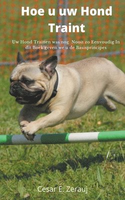 Hoe u uw Hond Traint Uw Hond Trainen was nog Nooit zo Eenvoudig In dit Boek geven we u de Basisprincipes (inbunden)