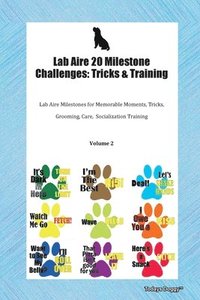 Lab Aire 20 Milestone Challenges (hftad)