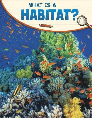 What Is a Habitat? (häftad)