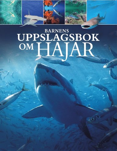 Barnens uppslagsbok om hajar (inbunden)