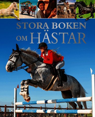 Stora boken om H�star (inbunden)