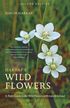 Harrap's Wild Flowers
