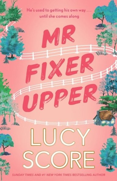 Mr Fixer Upper (häftad)
