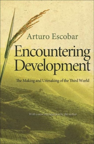 Encountering Development (e-bok)