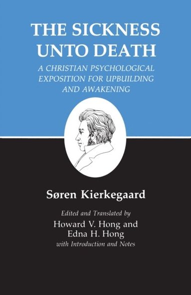 Kierkegaard's Writings, XIX, Volume 19 (e-bok)