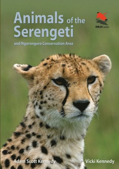 Animals of the Serengeti (e-bok)