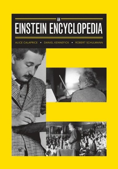 Einstein Encyclopedia (e-bok)
