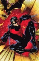 Nightwing Vol. 1: Traps and Trapezes (The New 52) (inbunden)