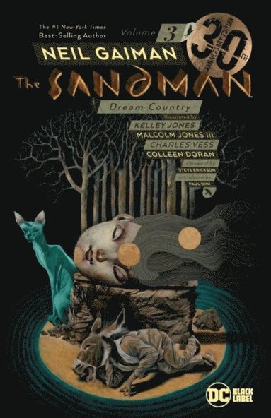The Sandman Volume 3 (hftad)
