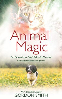Animal Magic: The Extraordinary Proof of Our Pets' Intuition and Unconditional Love for Us (inbunden)