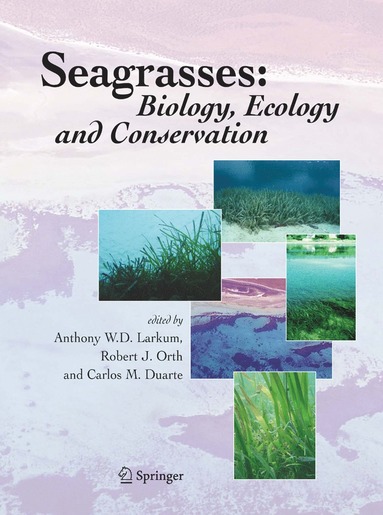 Seagrasses: Biology, Ecology and Conservation (häftad)