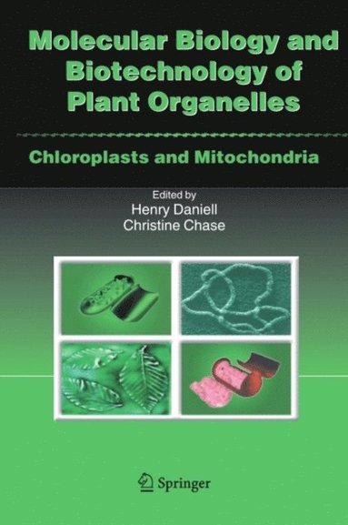 Molecular Biology and Biotechnology of Plant Organelles (inbunden)
