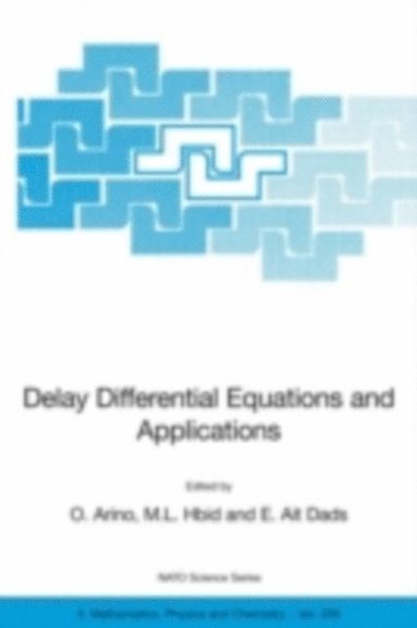Delay Differential Equations and Applications (e-bok)