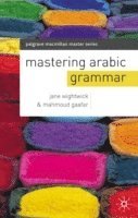 Mastering Arabic Grammar (inbunden)