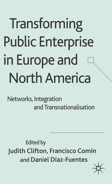 Transforming Public Enterprise in Europe and North America (inbunden)