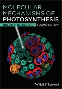 Molecular Mechanisms of Photosynthesis (inbunden)