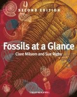 Fossils at a Glance (h�ftad)