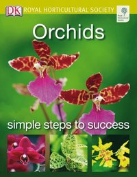 Orchids (e-bok)