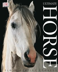 Ultimate Horse (e-bok)