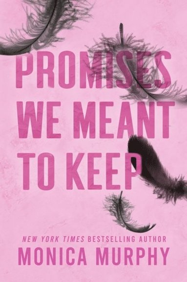 Promises We Meant To Keep (h�ftad)