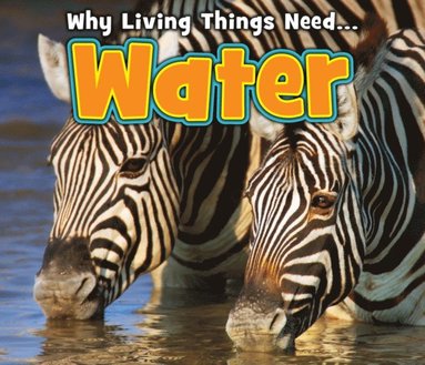 Water (häftad)