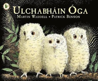 Ulchabhin ga (Owl Babies) (inbunden)