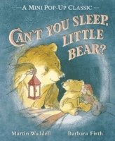 Can't You Sleep, Little Bear? (inbunden)